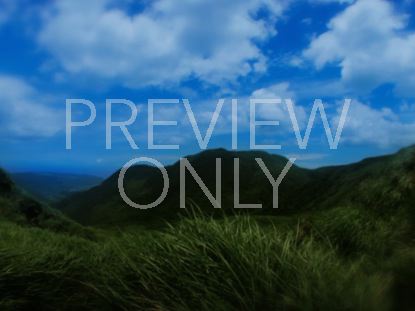 Mountain Overlook Still