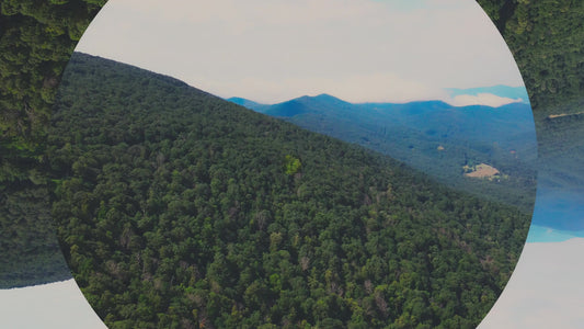 Over The Mountains 11