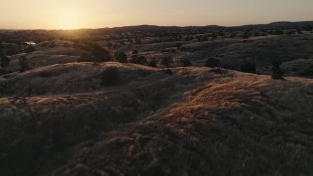 Golden Pastures Motion Background 14