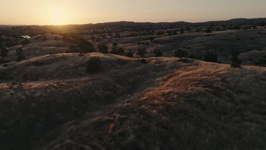 Golden Pastures Motion Background 14