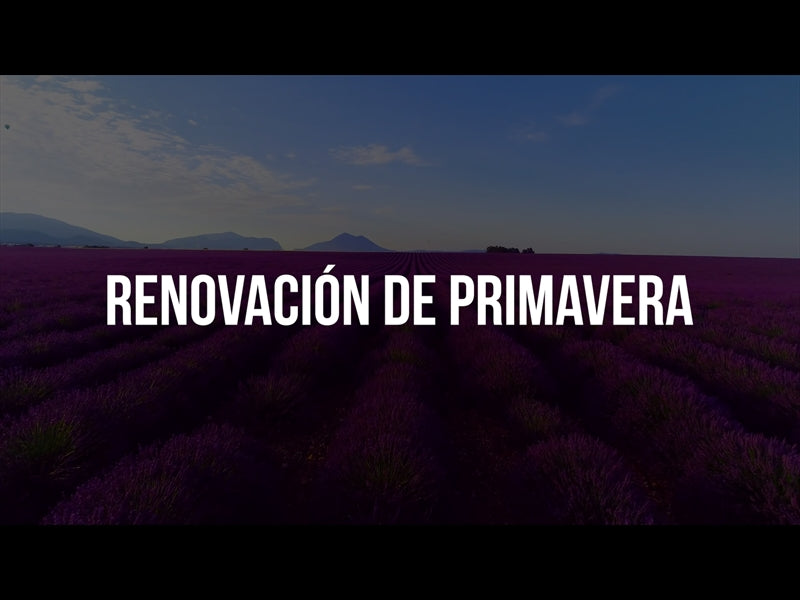 Renovacion De Primavera