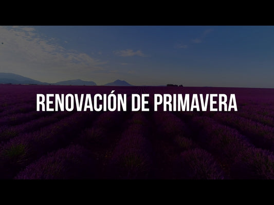 Renovacion De Primavera