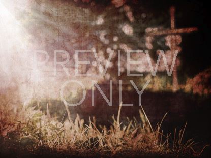 Across The Path 1 Still