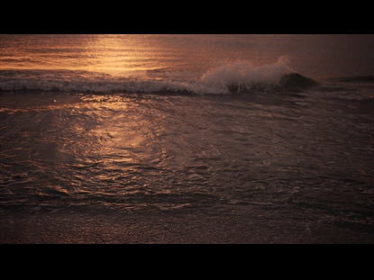 Sunset Surf Warm