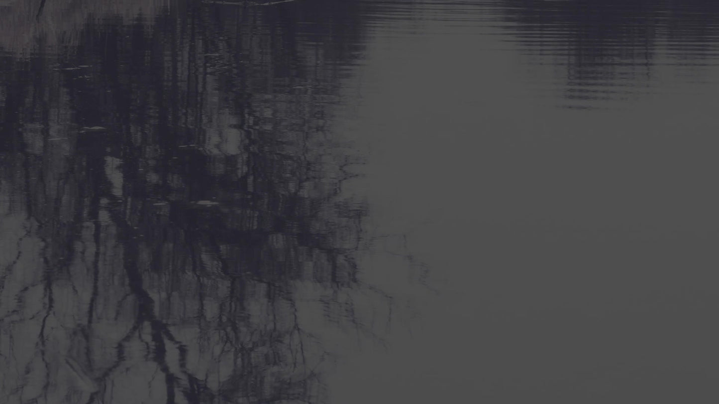 Bleak Beauty Reflect Fade Still