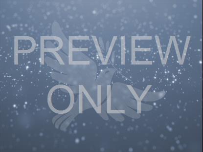Sparkle Dove