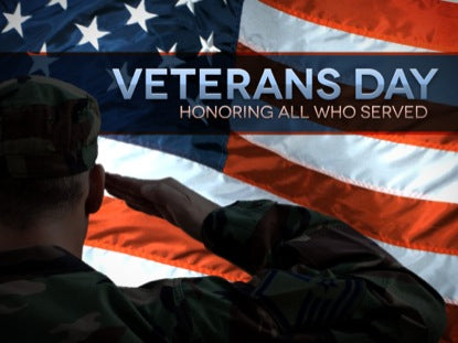 Veterans Day Soldier Flag