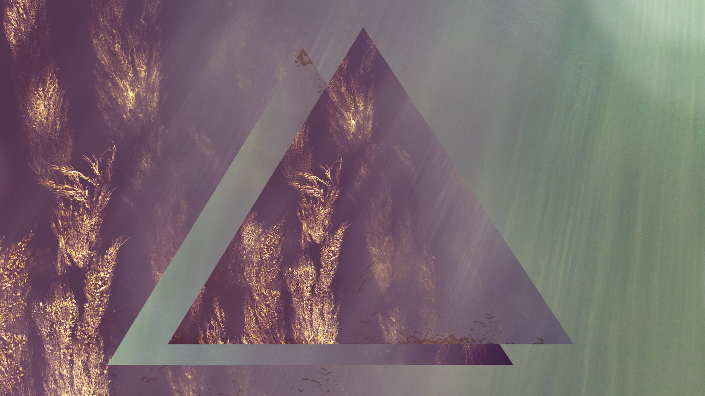 Disruption Wheat Still