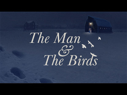 The Man And The Birds