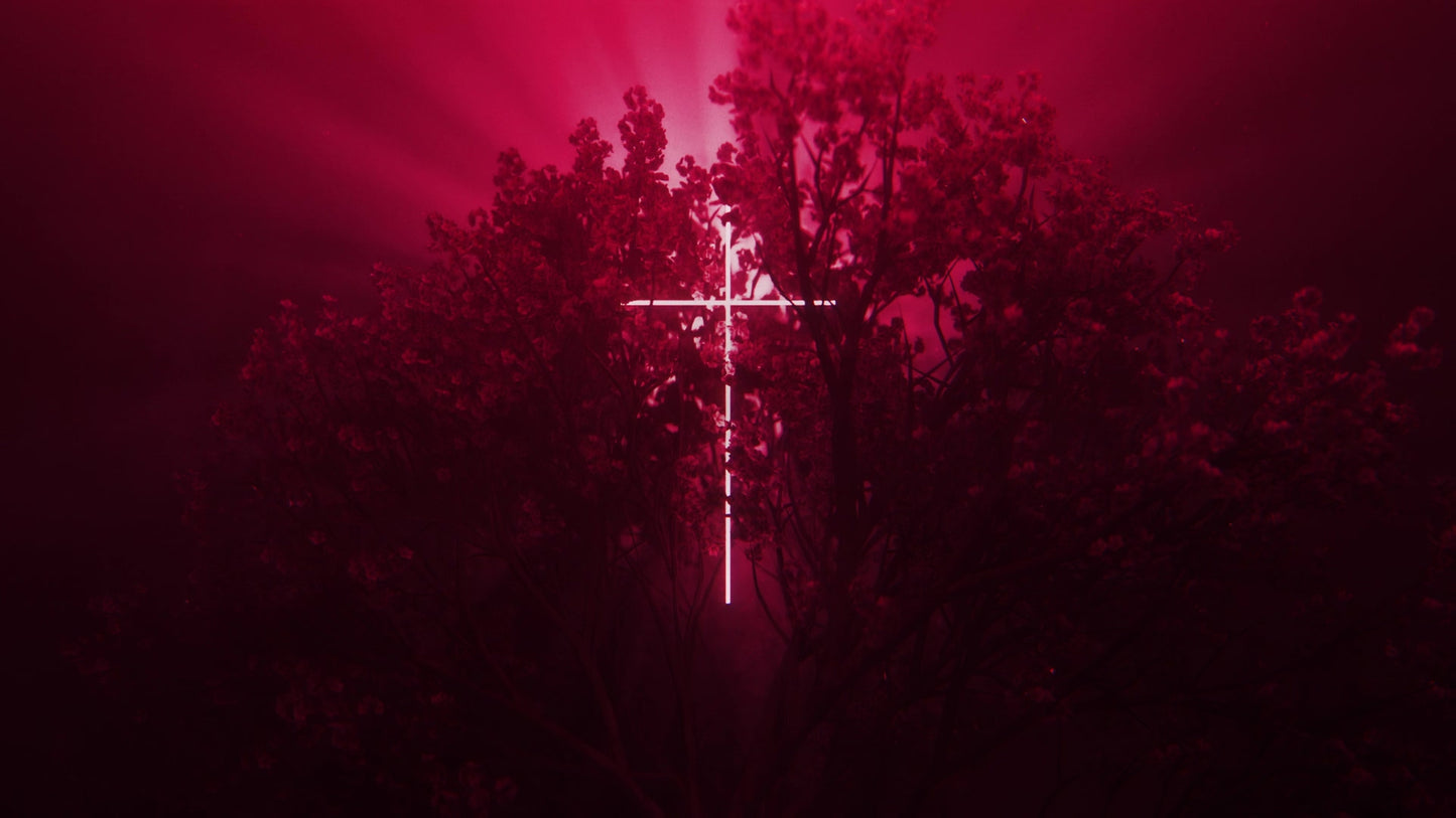 Holy Week Neon Cross