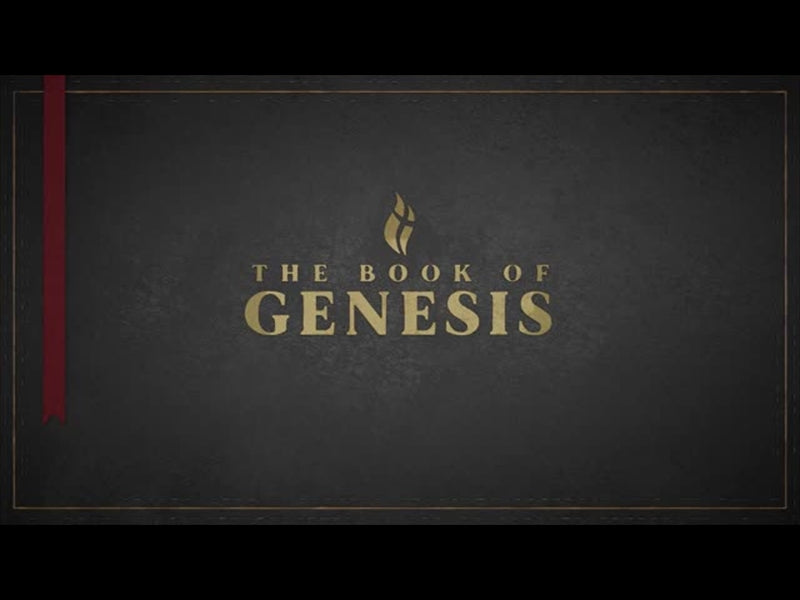 Genesis - Black