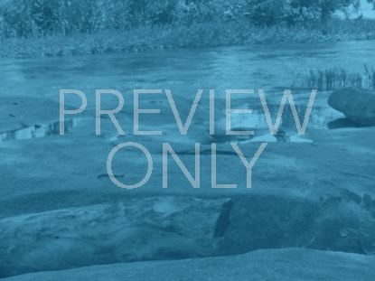 Natural Serenity Still 1