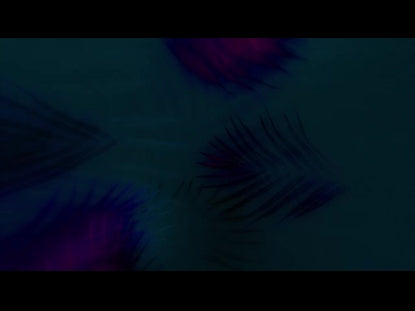 Palm Sunday Collection 12