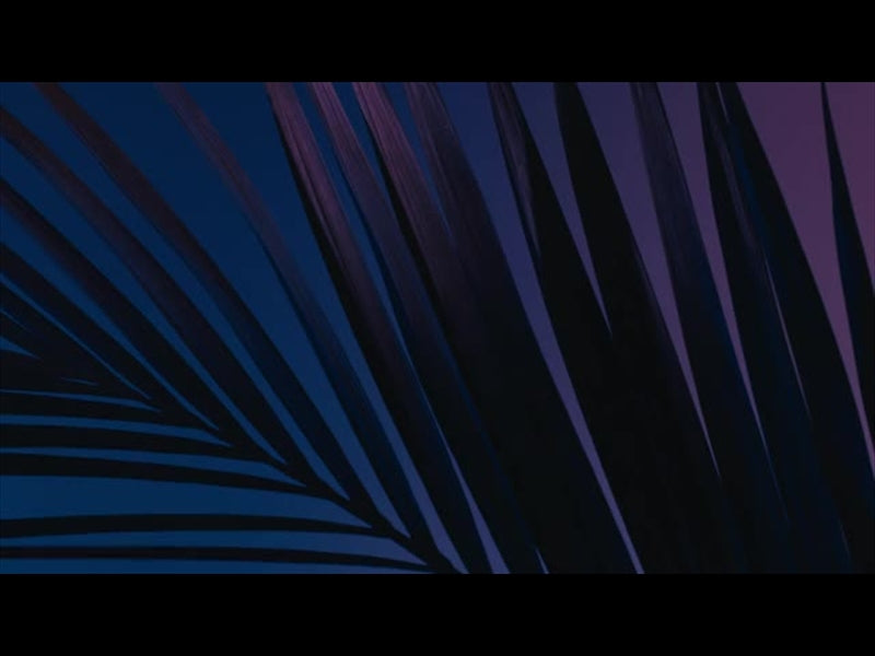 Cinematic Palms Loop 3