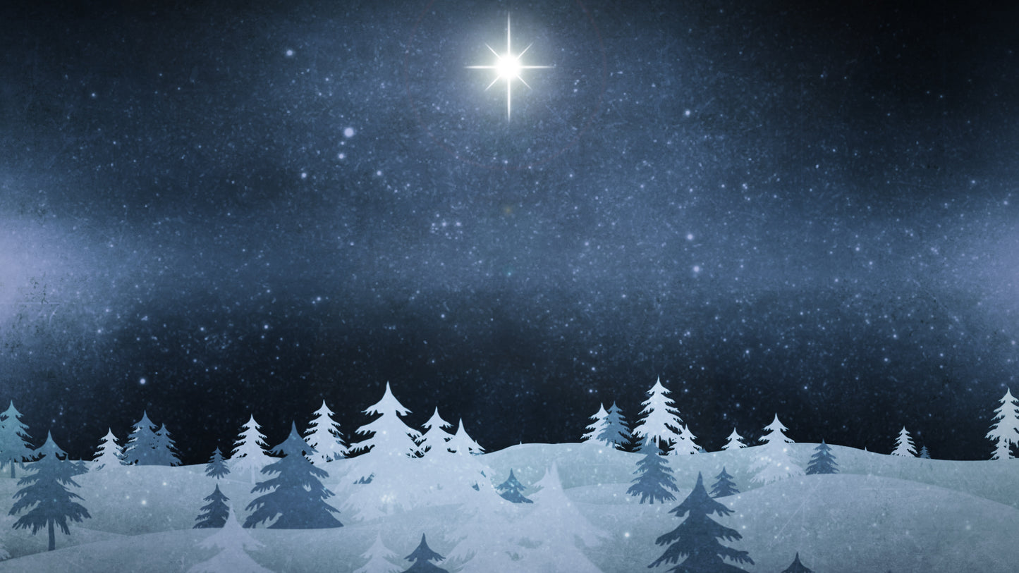 Christmas Forest Blue 1 Still