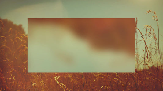 Summer Bright Grasses Alt