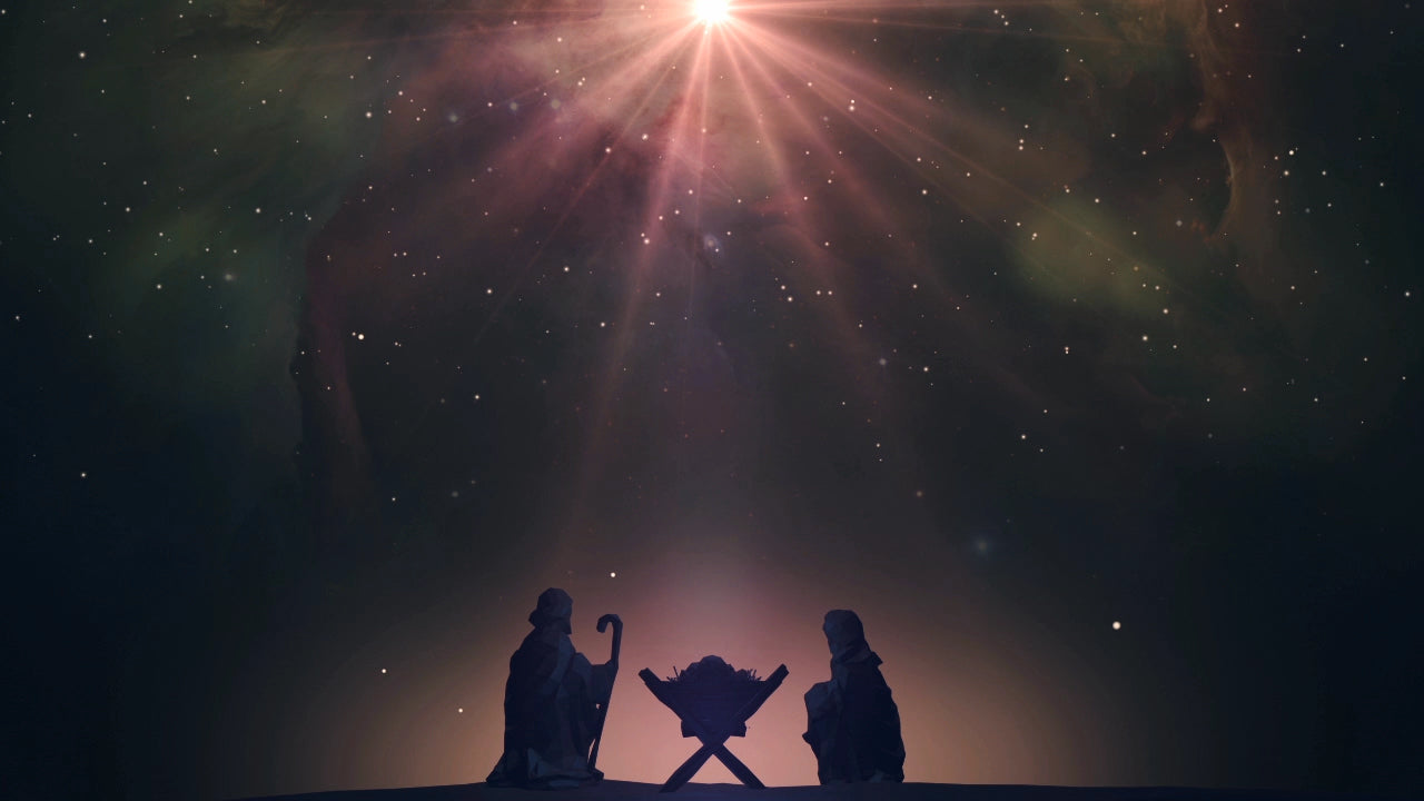 Christ The Savior Nativity