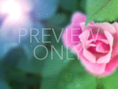 Watercolor Rose 01