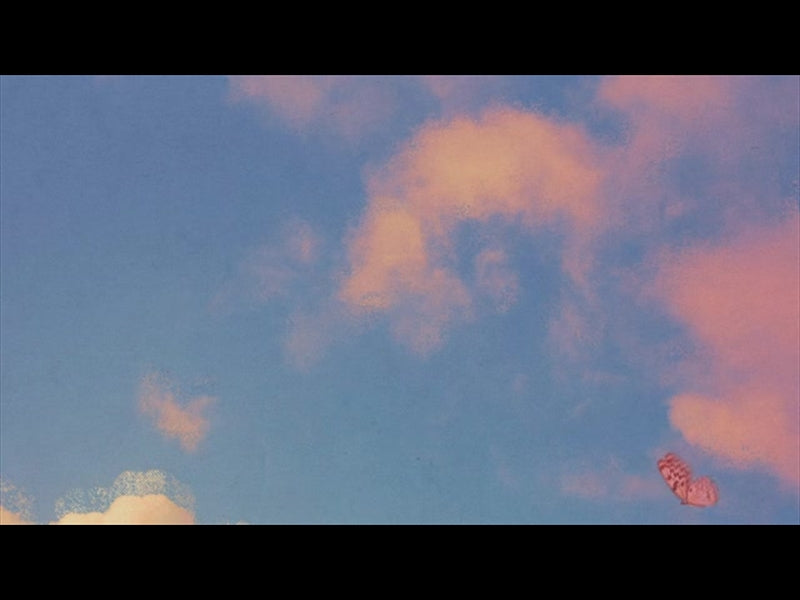 Butterfly Sky Loop 1