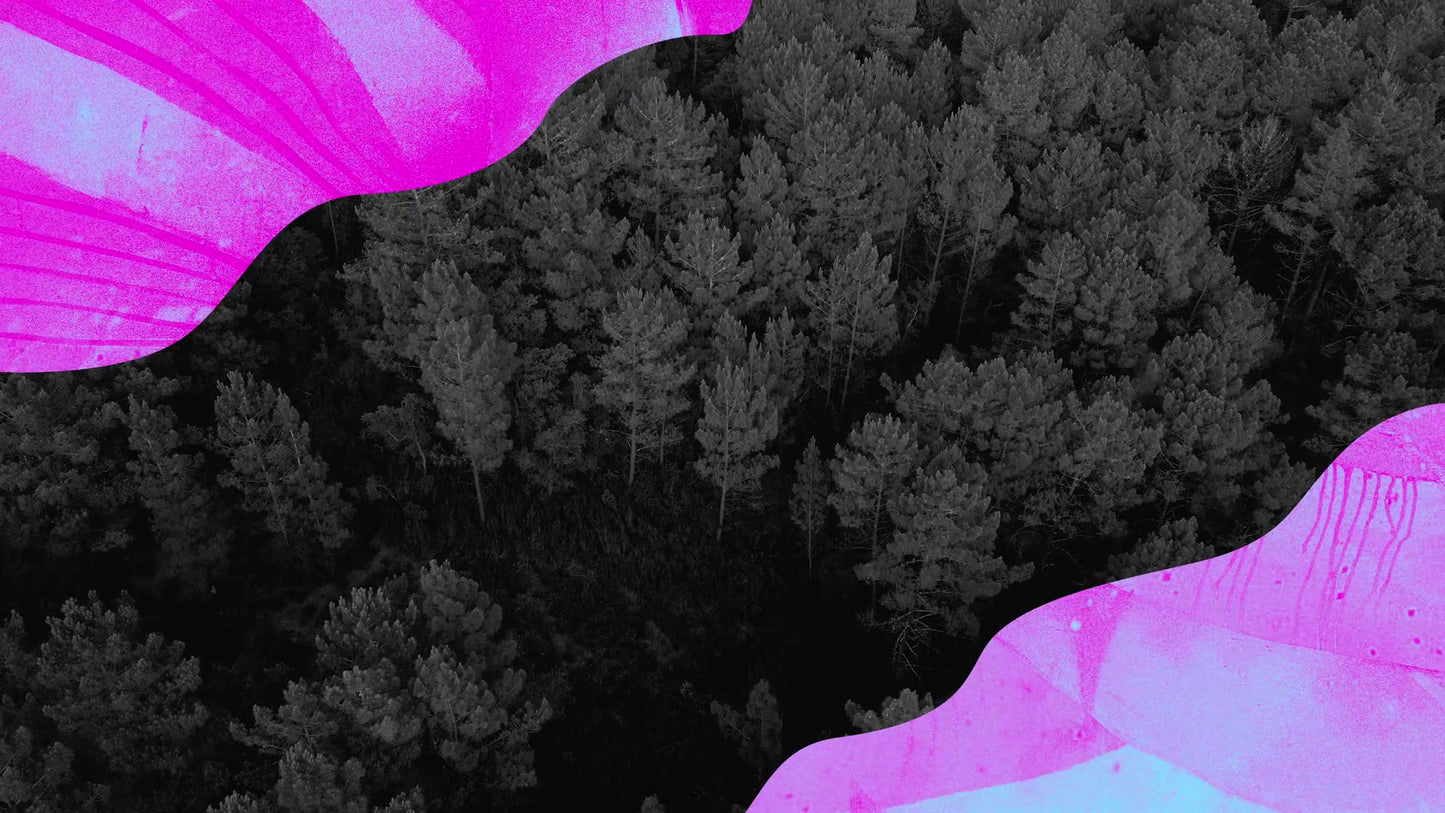 Vibrant  06