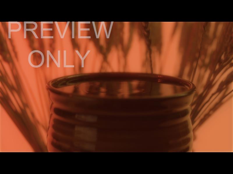 Communion 2 Still
