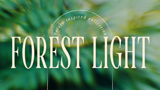 Forest Light Collection