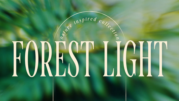 Forest Light Collection