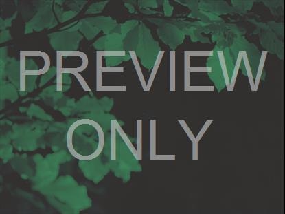 Autumn Leaves Green Alt