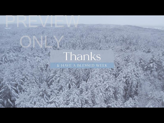Winter Woods Thanks Still