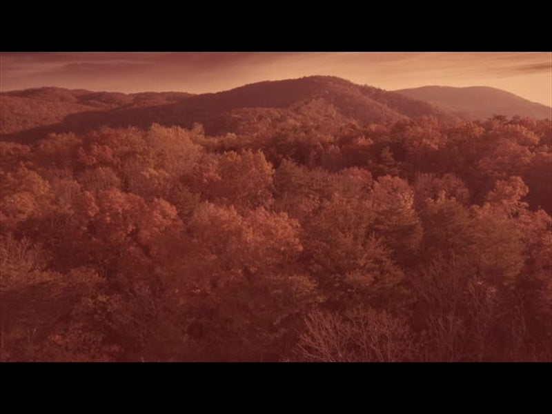 Epic Autumn Aerial Vivid Warm