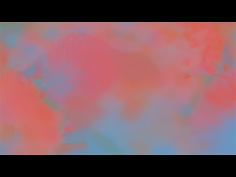 Flora Mae Loop 07