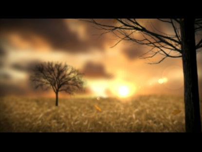Fall Season Motion Background