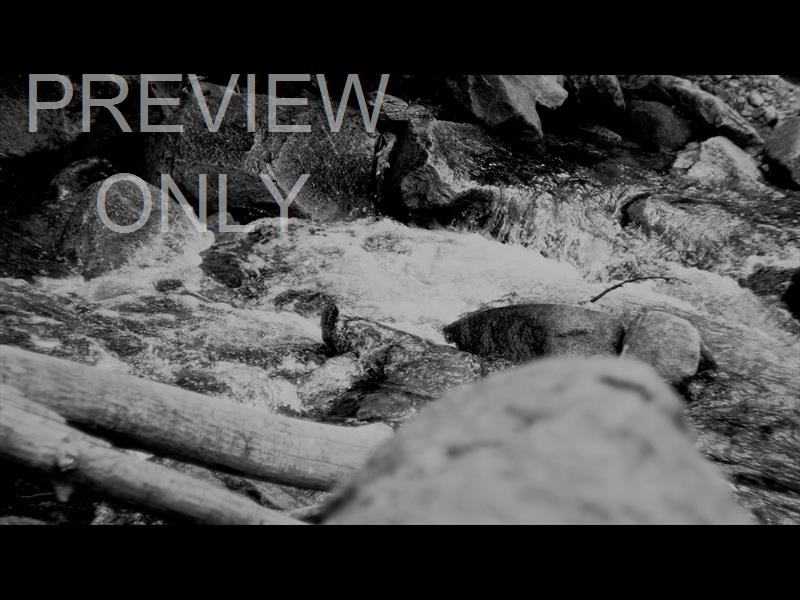 Black And White River 1 Still