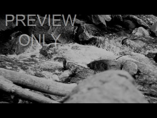 Black And White River 1 Still