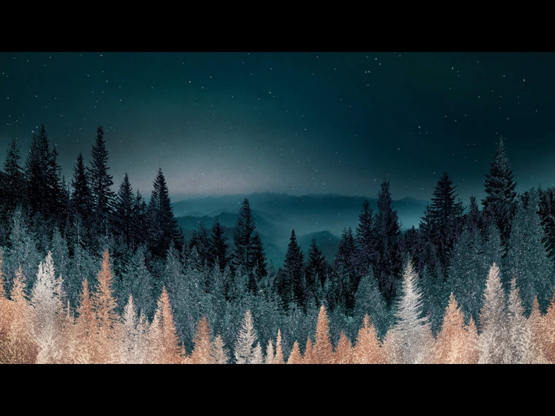 Sparkling Trees 5