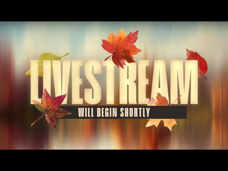 Autumnscape Livestream