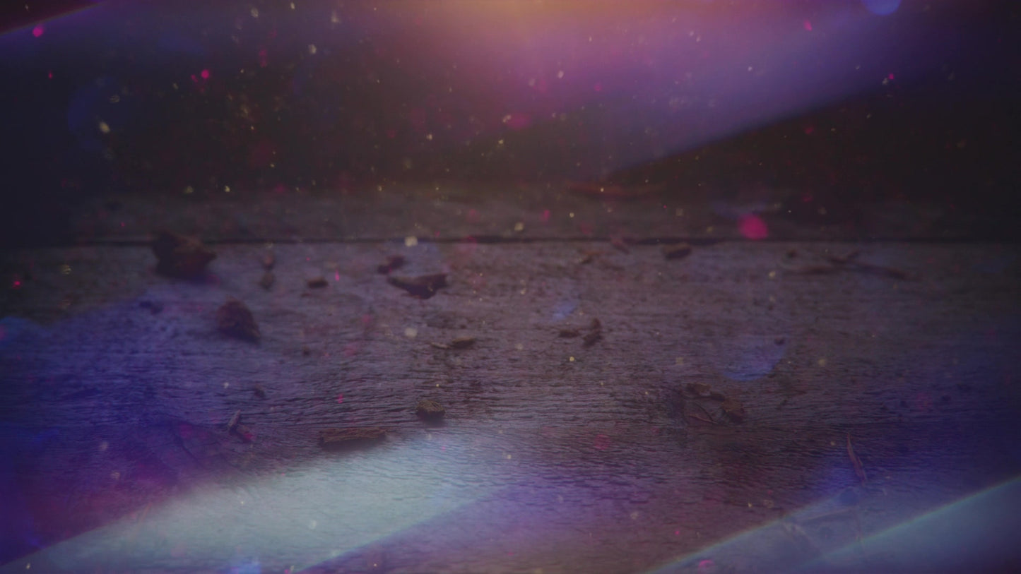 Rustic Nativity 14 Still