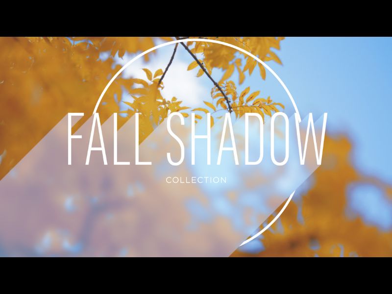Fall  Shadow Collection