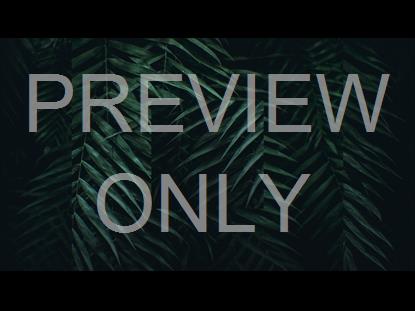 Palm Leaves Scroll Alt