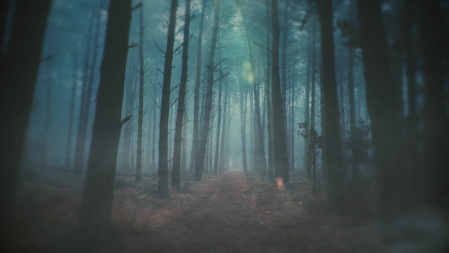 Moody Autumn Path Still