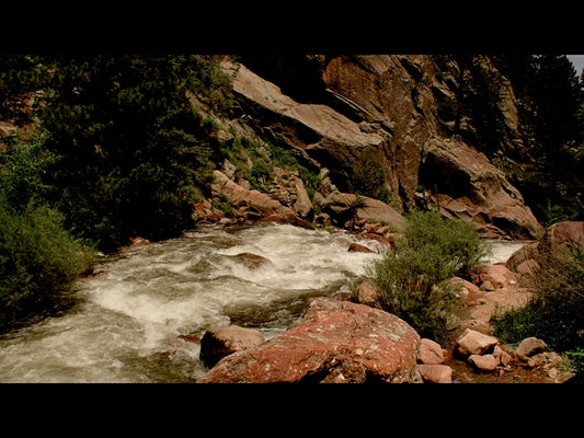 El Dorado Motion 16