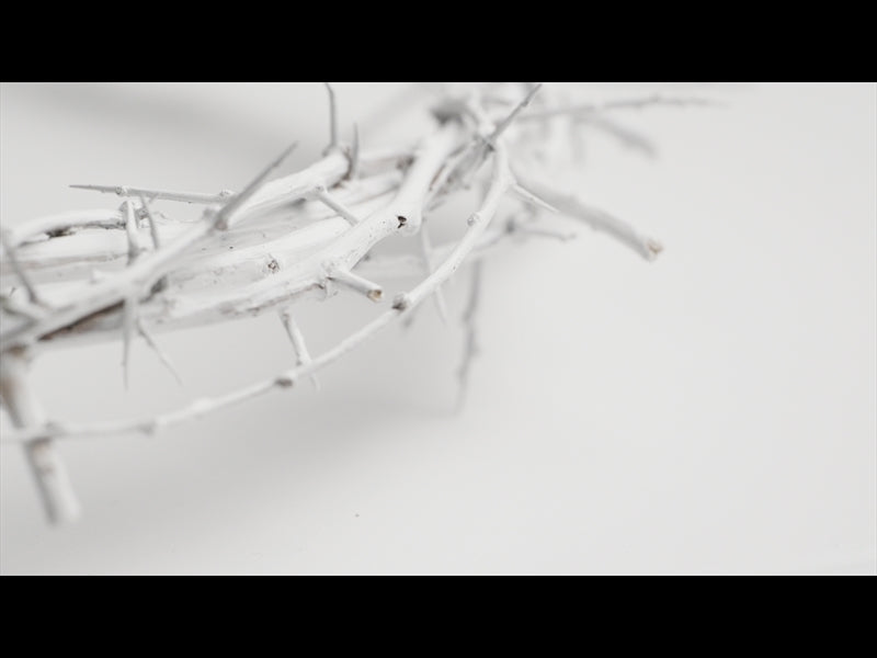 Crown Of Thorns White 5