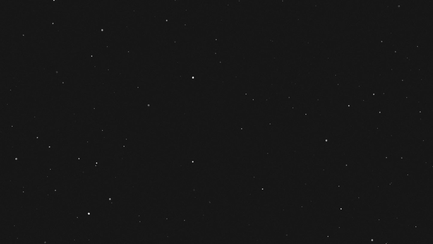 Silent Night Star Field