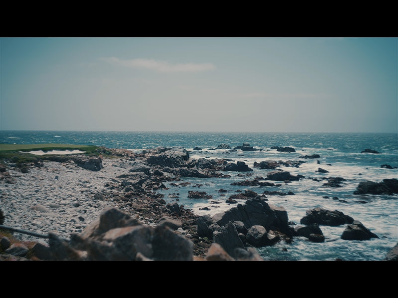 Point Lobos 2