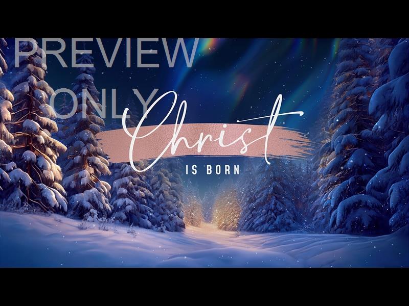 Christmas Snow Christ Is Born Still