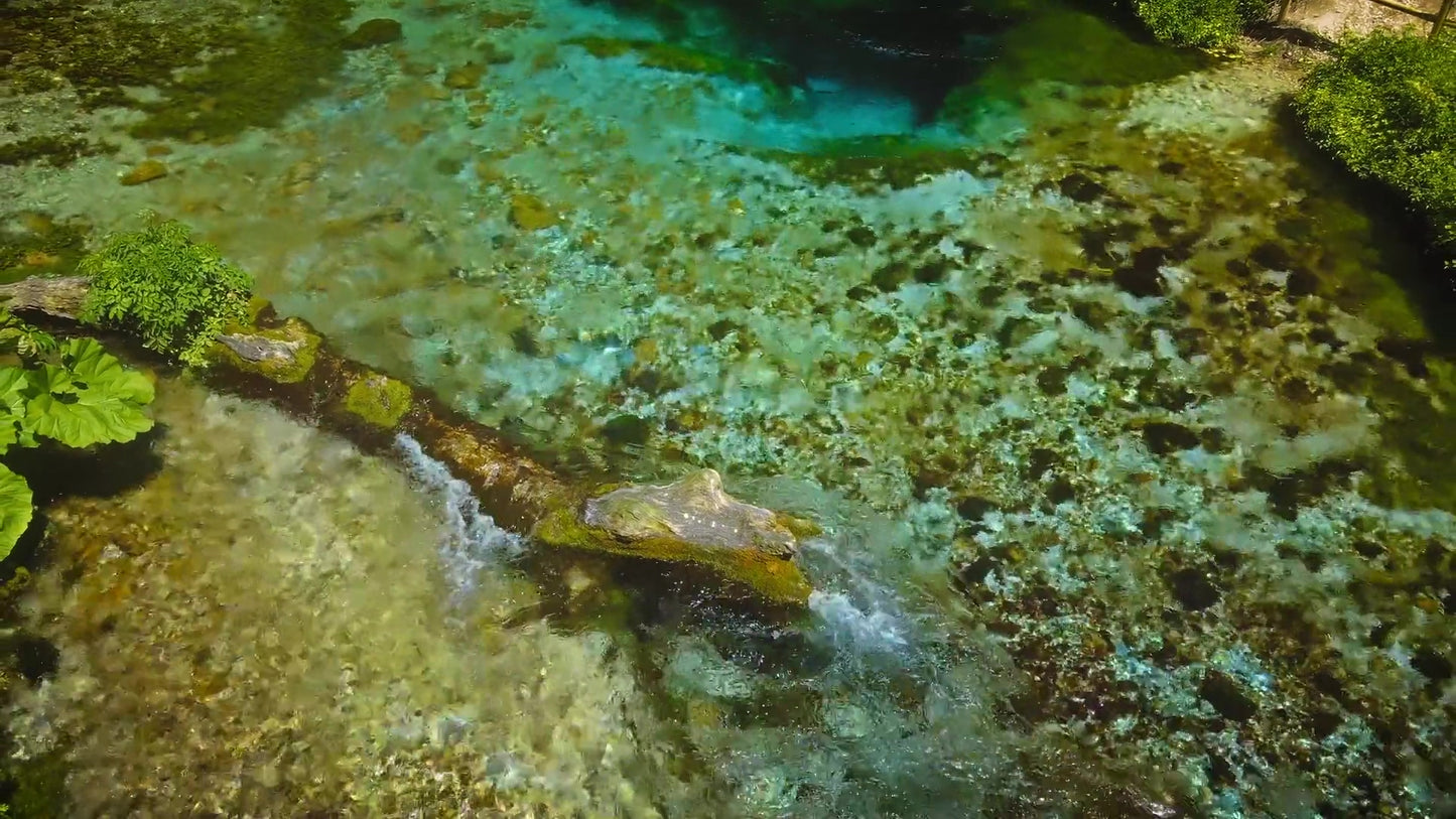 Blue Eye 7