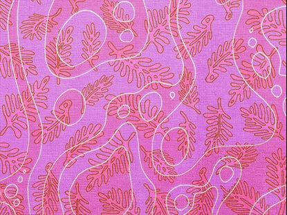 Coral Colors Pink