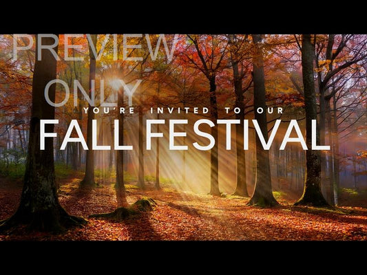 Autumn Light Fall Festival Still