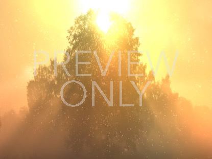 Only Christ Orange Still