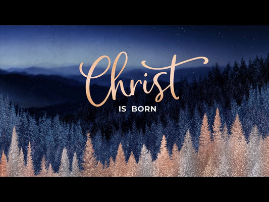 Sparkling Trees Christ Is Born